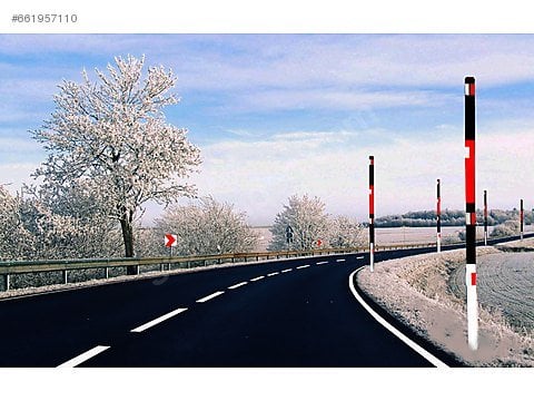 Kar Direkleri